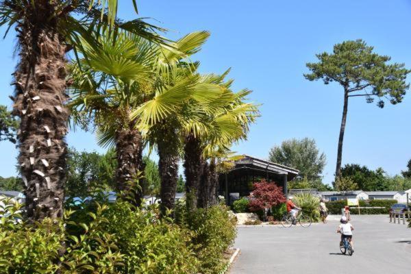 Campsite Mobil Xxl - Bord - Les Viviers - Cap Ferret *
